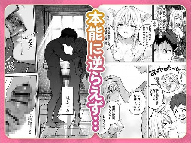 【元奴●獣人ちゃんはご主人様と毎日えっちがしたい！】COMICアイル@かわいい女性