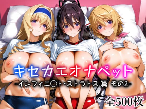 【キセカエオナペット -インフィニ◯ト・ストラトス篇 その2-】愛玩ファクトリー